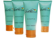 Arnold-Palmer-amenities
