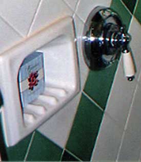 Greenbrier-shower05