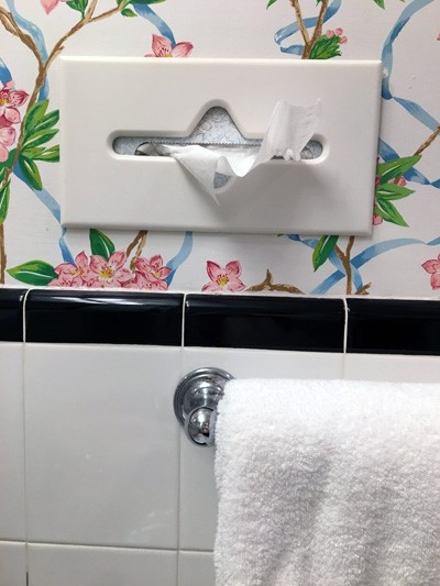 Kleenex02