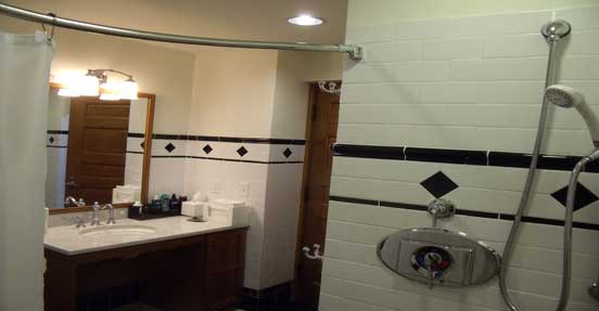 ShowerSuiteAronimink