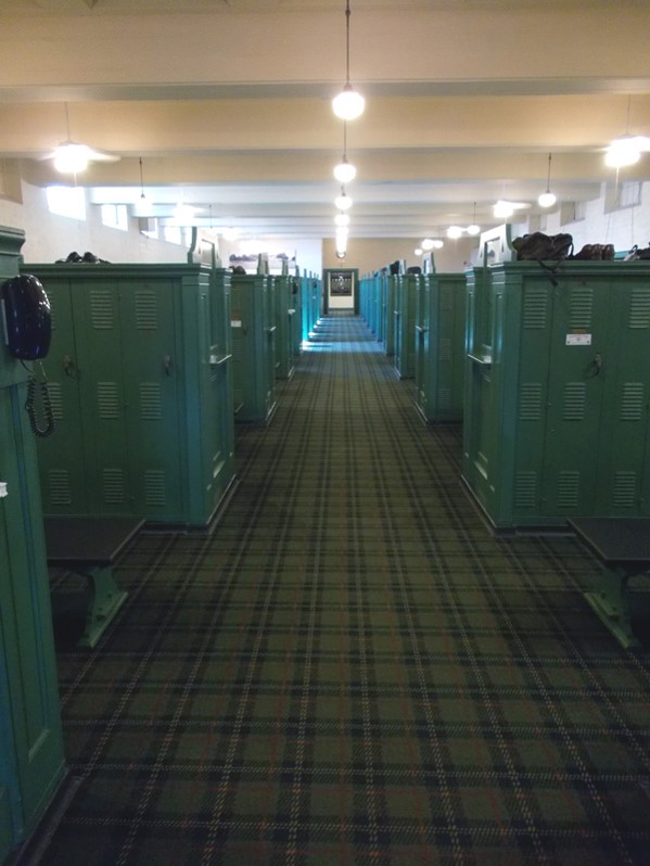 plaid 14
