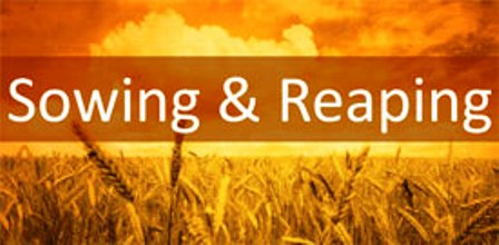 sowing and reaping